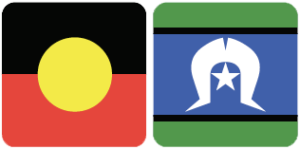 flags-copy-300×149 (1) flags-copy